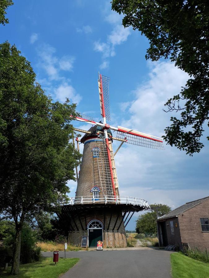 Zeeuwse Zot *